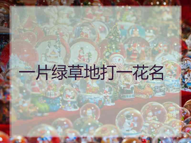一片绿草地打一花名