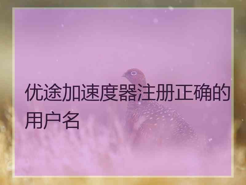 优途加速度器注册正确的用户名