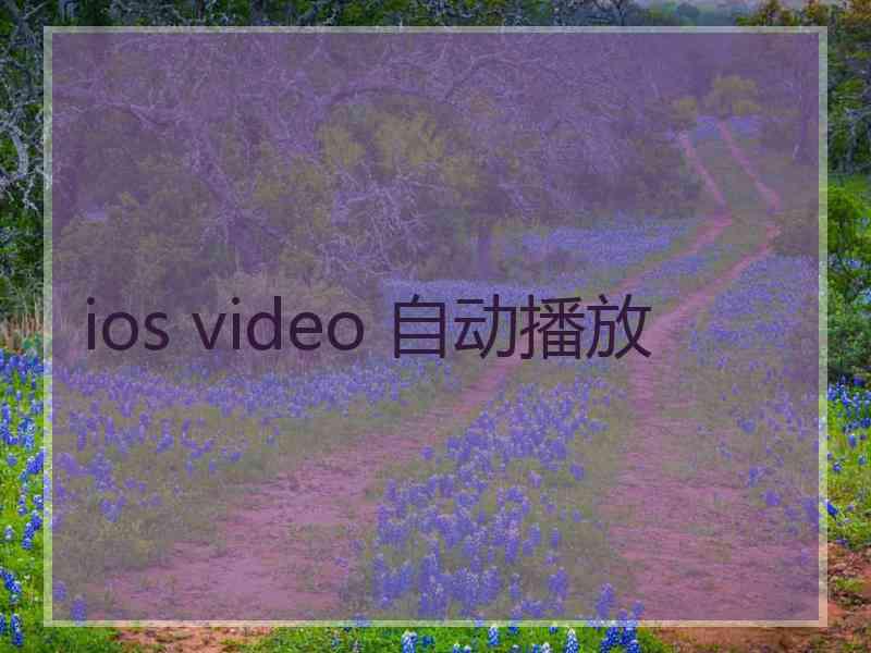 ios video 自动播放