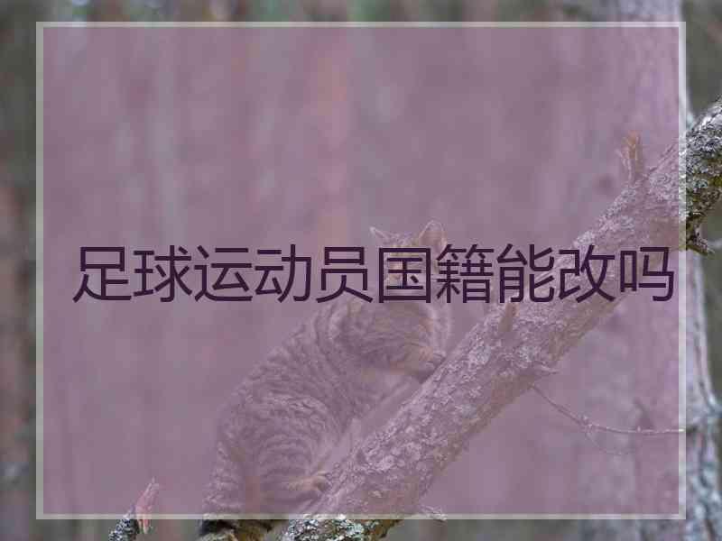 足球运动员国籍能改吗