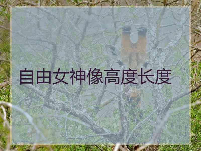 自由女神像高度长度