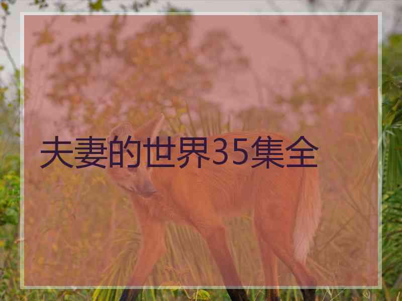 夫妻的世界35集全