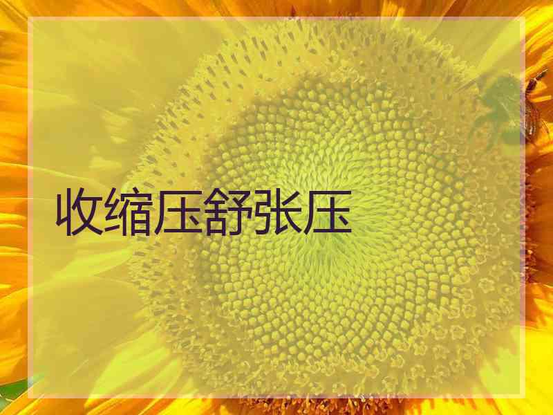 收缩压舒张压