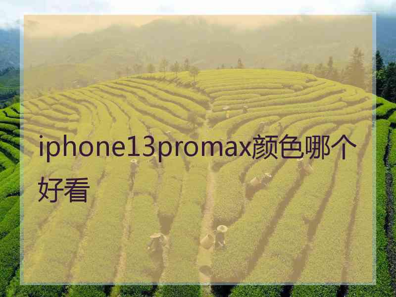 iphone13promax颜色哪个好看