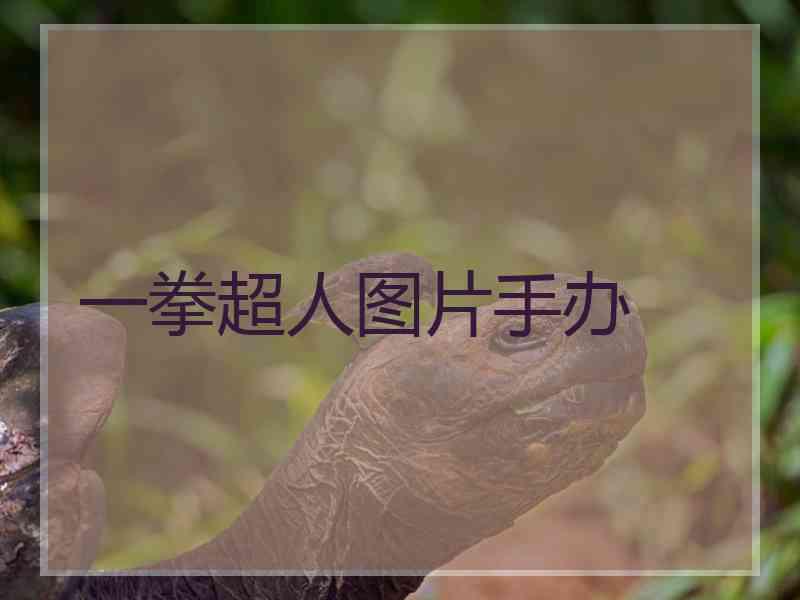 一拳超人图片手办