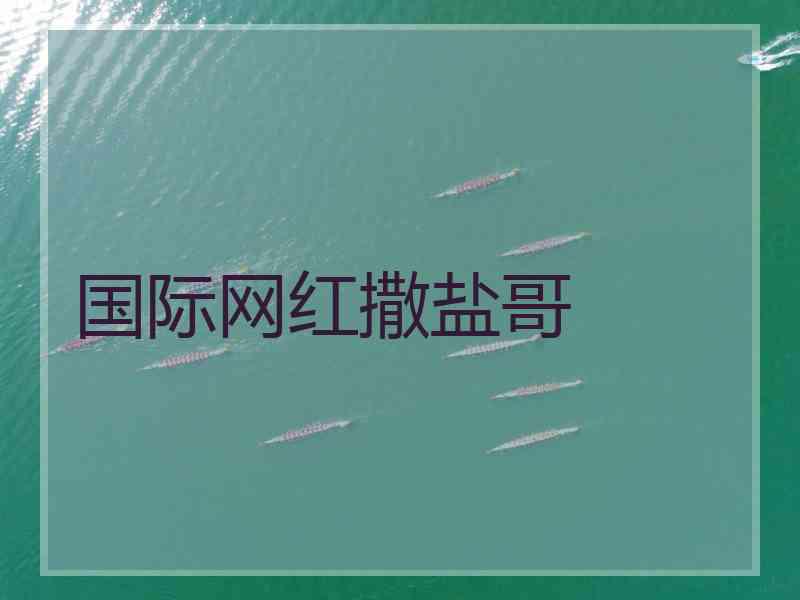 国际网红撒盐哥