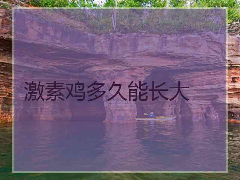 激素鸡多久能长大