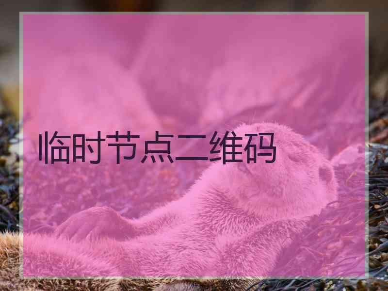 临时节点二维码