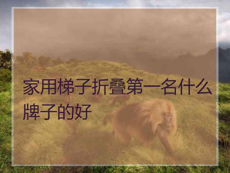 家用梯子折叠第一名什么牌子的好