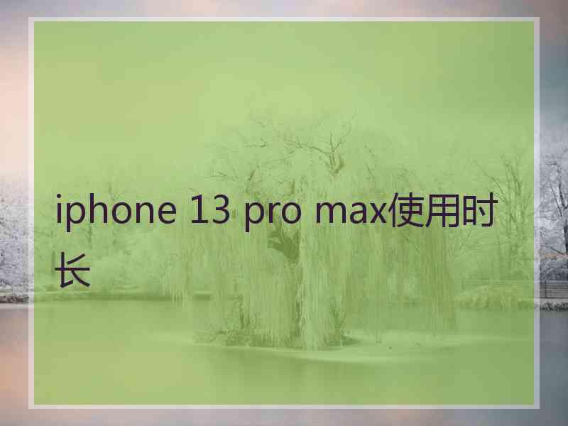 iphone 13 pro max使用时长