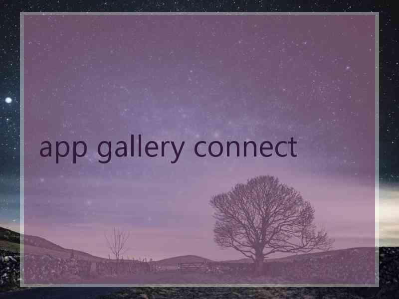 app gallery connect