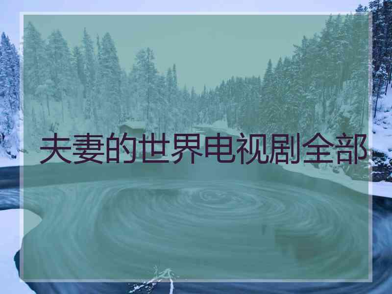 夫妻的世界电视剧全部
