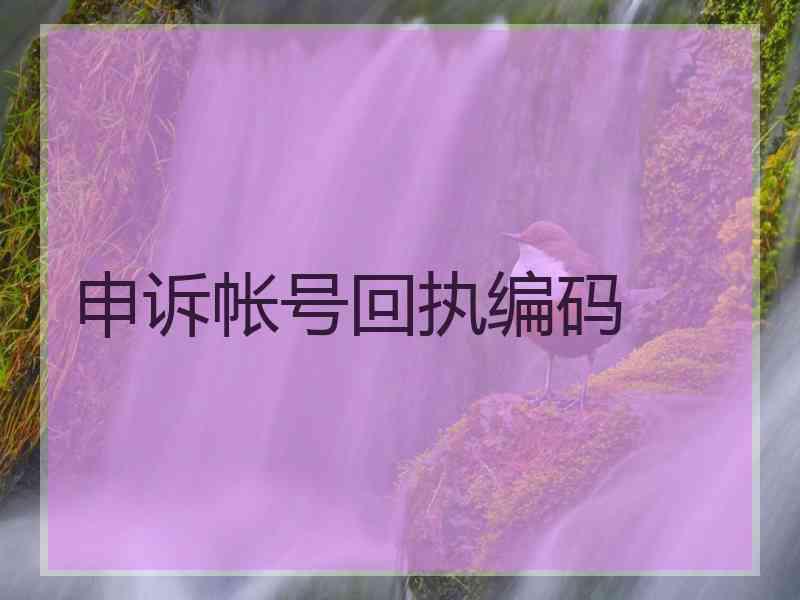 申诉帐号回执编码