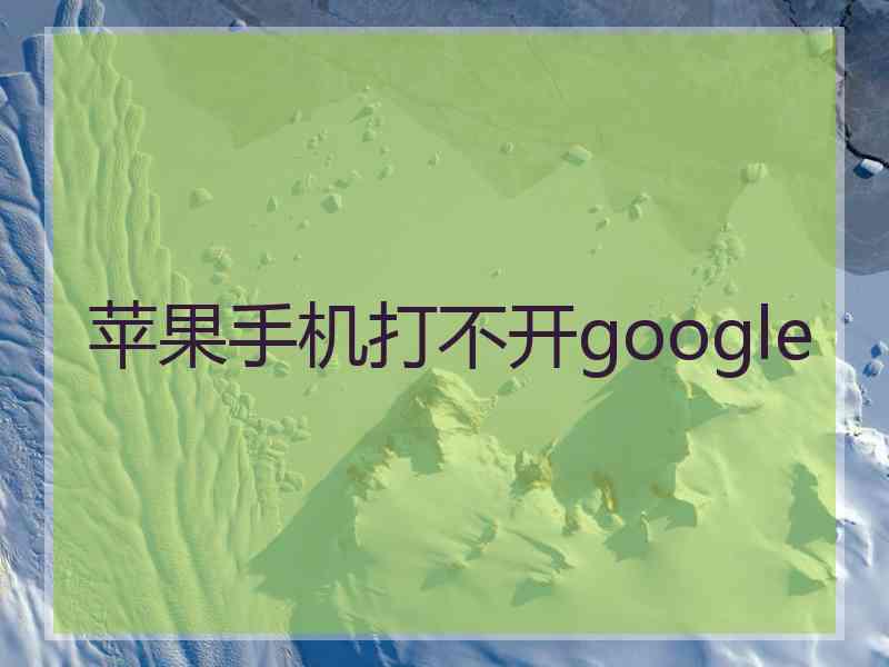 苹果手机打不开google