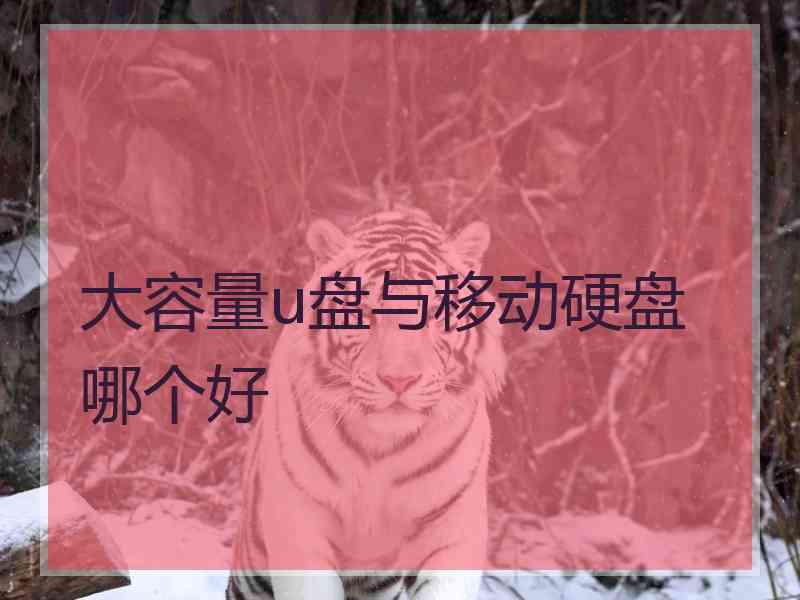 大容量u盘与移动硬盘哪个好
