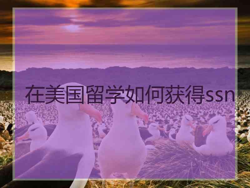 在美国留学如何获得ssn