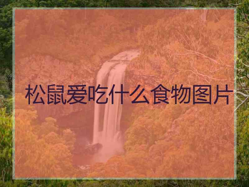 松鼠爱吃什么食物图片