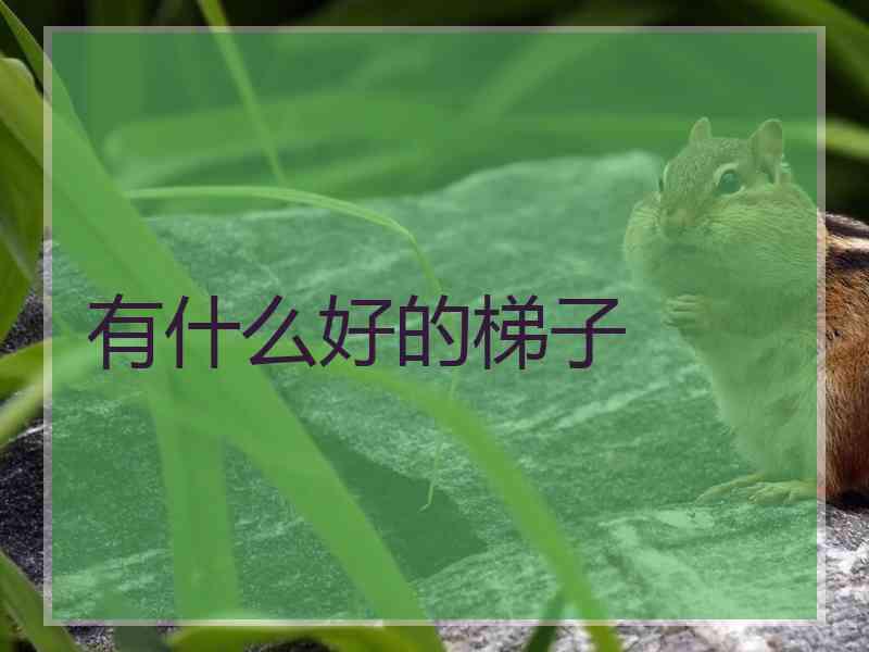 有什么好的梯子