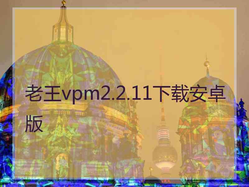 老王vpm2.2.11下载安卓版