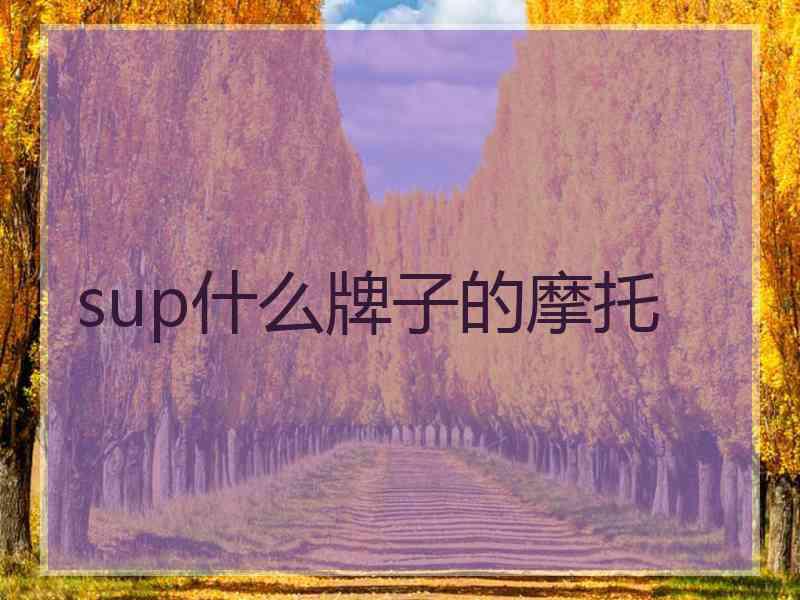 sup什么牌子的摩托