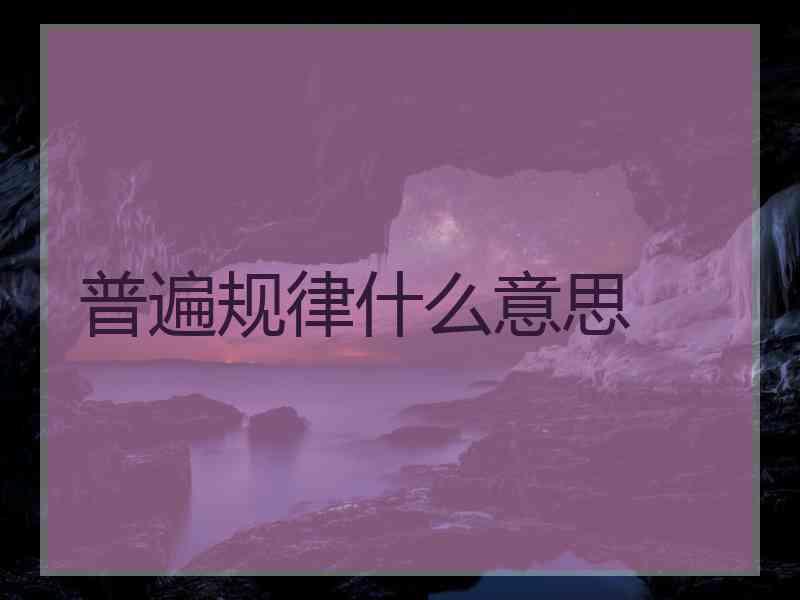 普遍规律什么意思