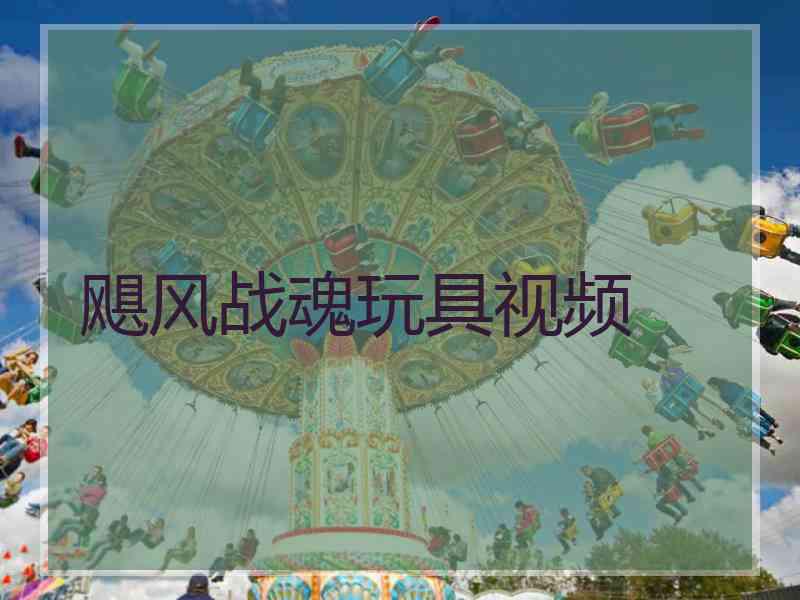 飓风战魂玩具视频