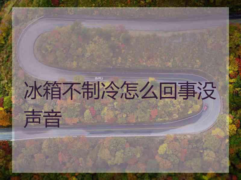 冰箱不制冷怎么回事没声音