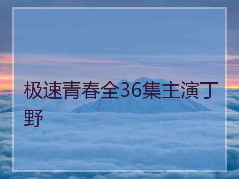 极速青春全36集主演丁野