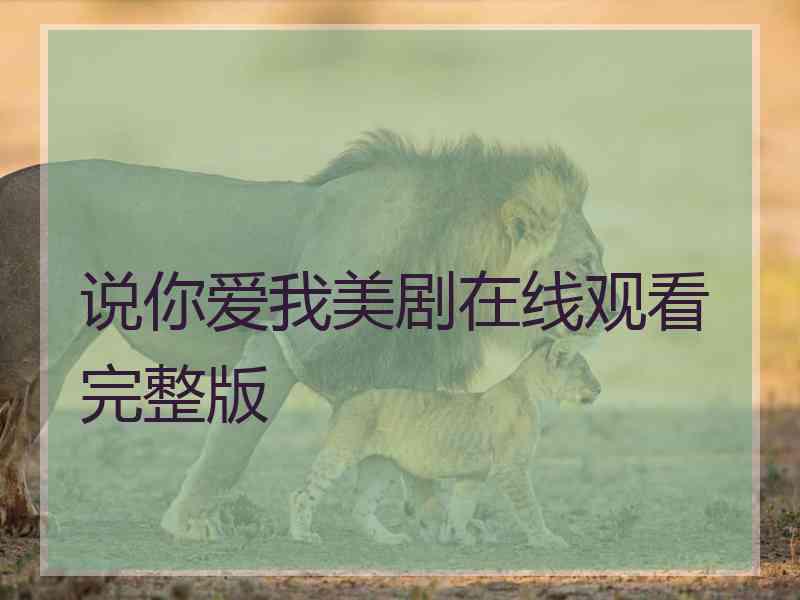 说你爱我美剧在线观看完整版