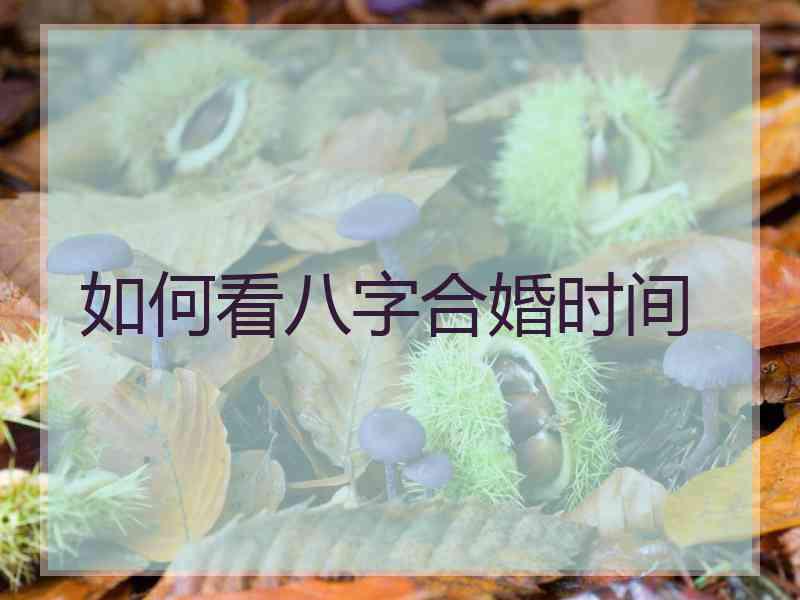 如何看八字合婚时间