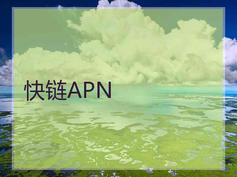 快链APN