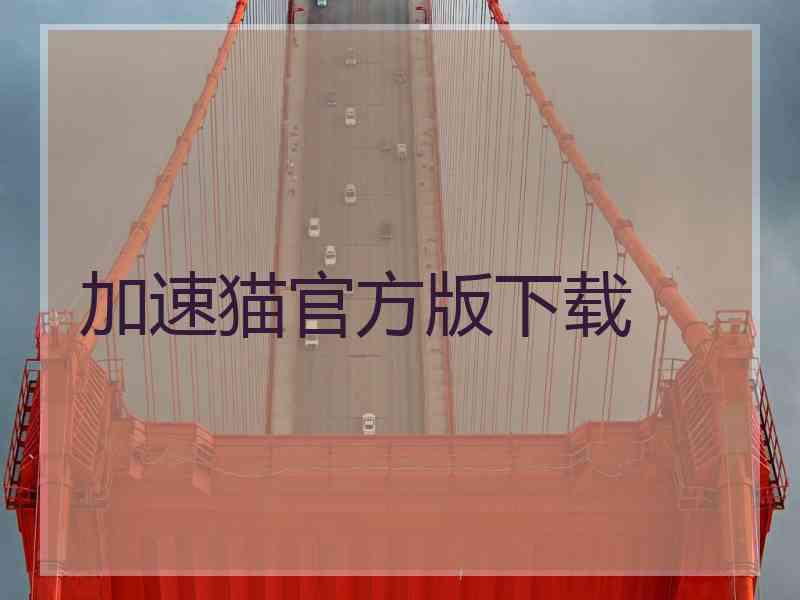 加速猫官方版下载