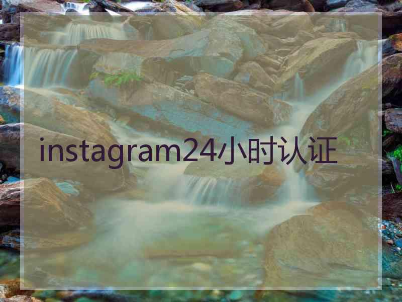 instagram24小时认证