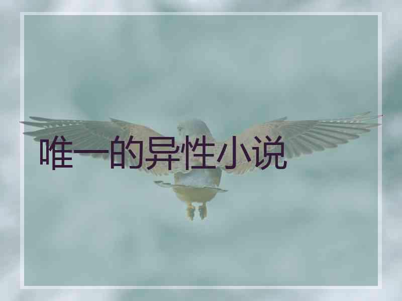 唯一的异性小说