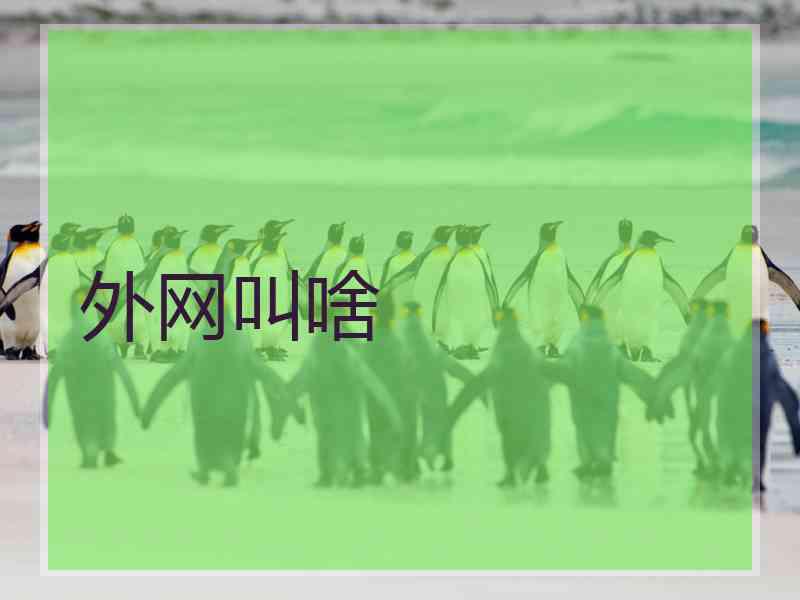 外网叫啥