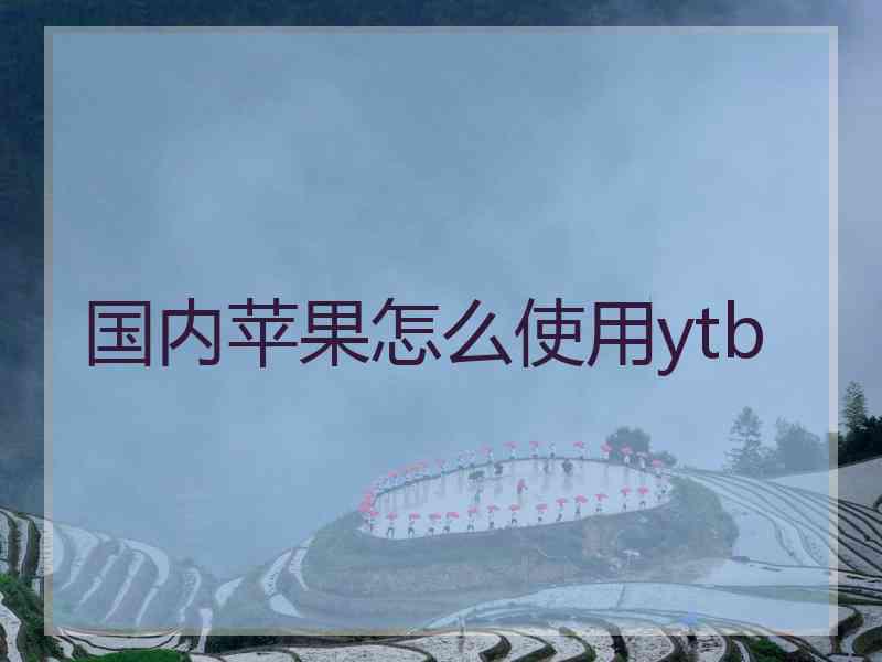 国内苹果怎么使用ytb