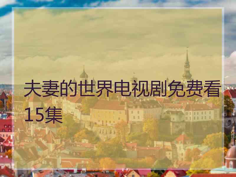夫妻的世界电视剧免费看15集