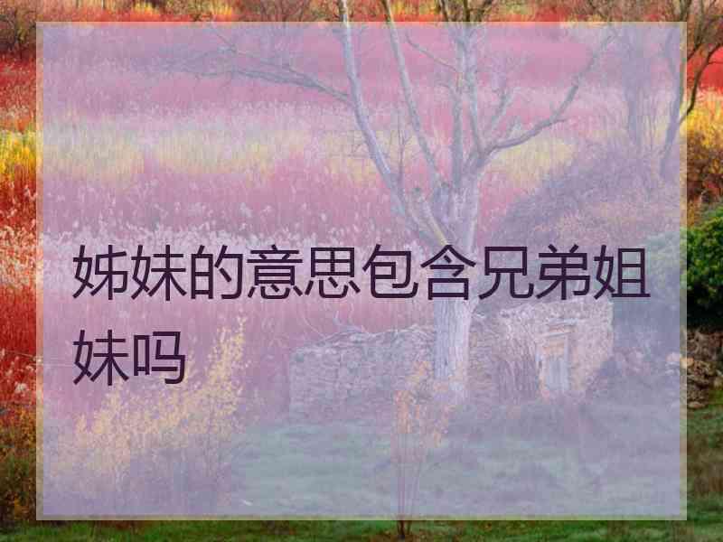 姊妹的意思包含兄弟姐妹吗