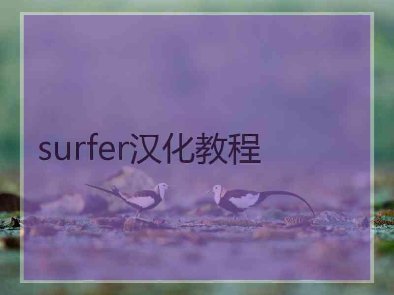 surfer汉化教程