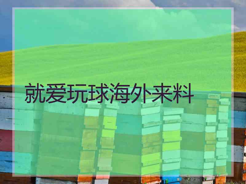 就爱玩球海外来料