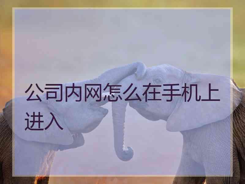 公司内网怎么在手机上进入