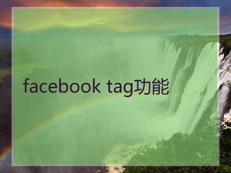 facebook tag功能