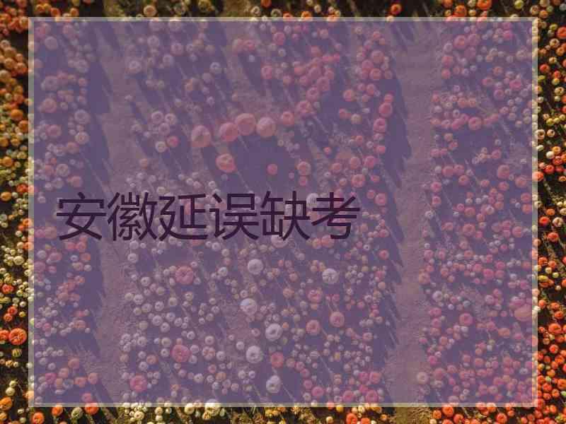 安徽延误缺考