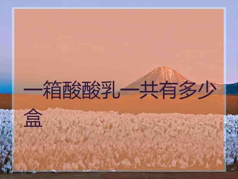 一箱酸酸乳一共有多少盒