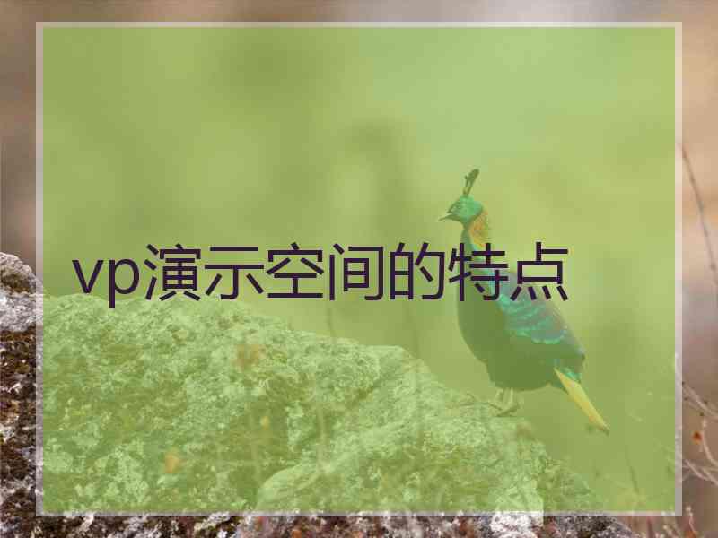 vp演示空间的特点