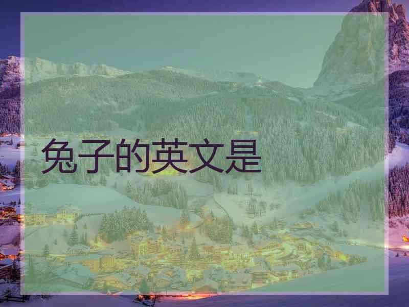 兔子的英文是