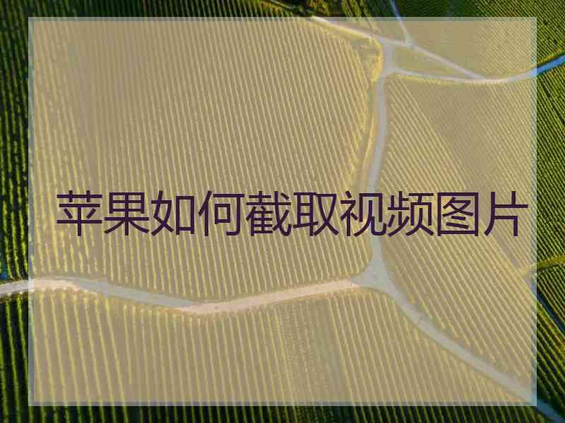 苹果如何截取视频图片