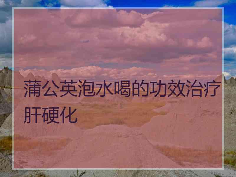 蒲公英泡水喝的功效治疗肝硬化