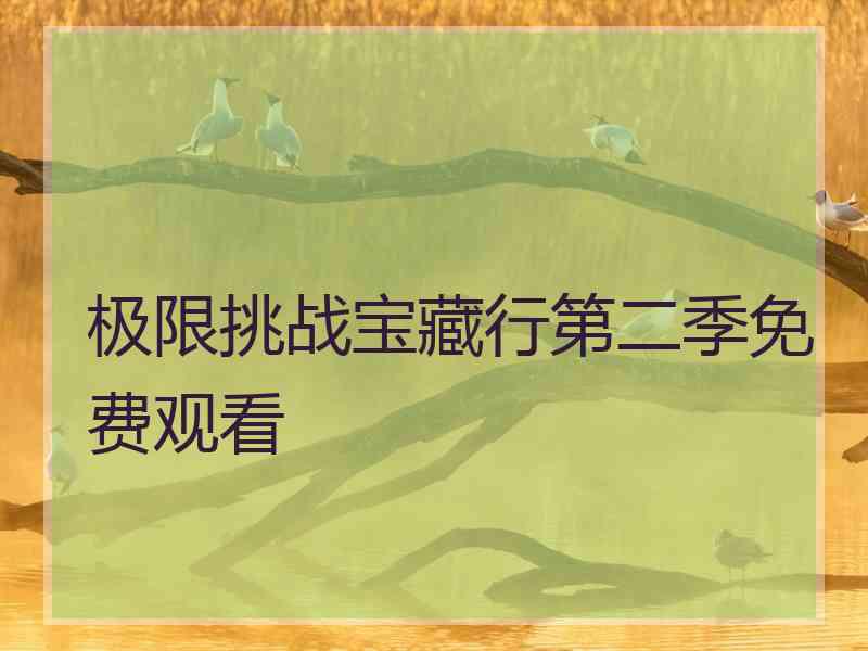 极限挑战宝藏行第二季免费观看