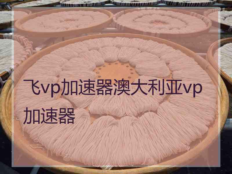 飞vp加速器澳大利亚vp加速器